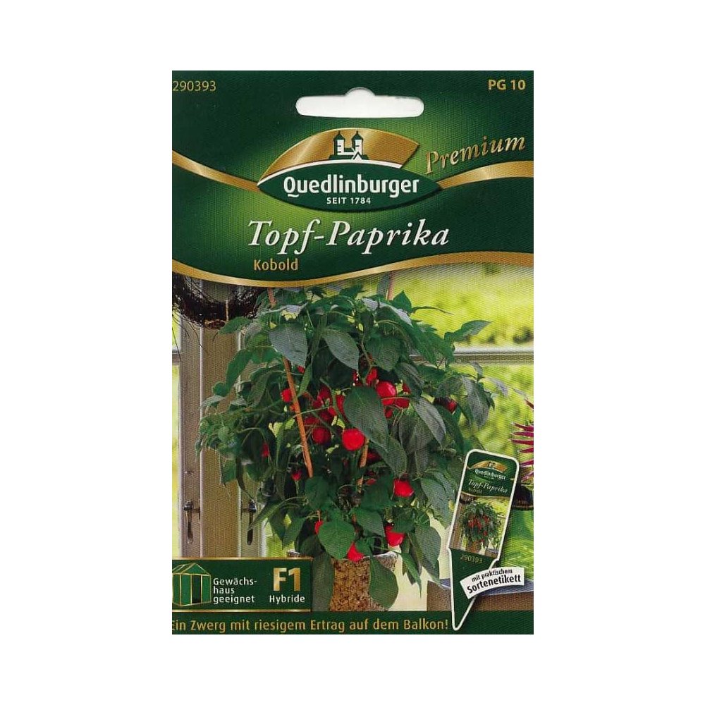 Črepníková paprika, Kobold F1