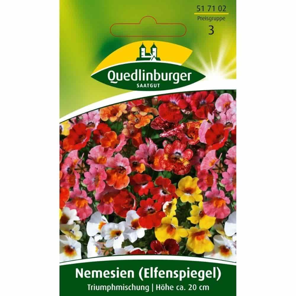 Nemezia (Elfenspiegel), Triumph zmes