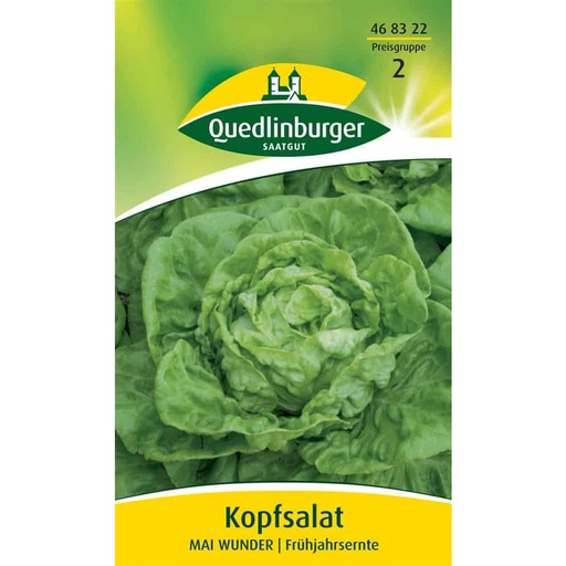 [BONI-468322] Kopfsalat, Mai Wunder